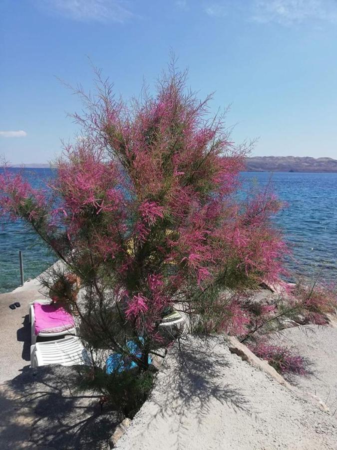 Apartmani Ivankovic Karlobag Esterno foto