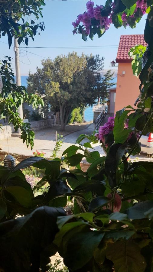 Apartmani Ivankovic Karlobag Camera foto