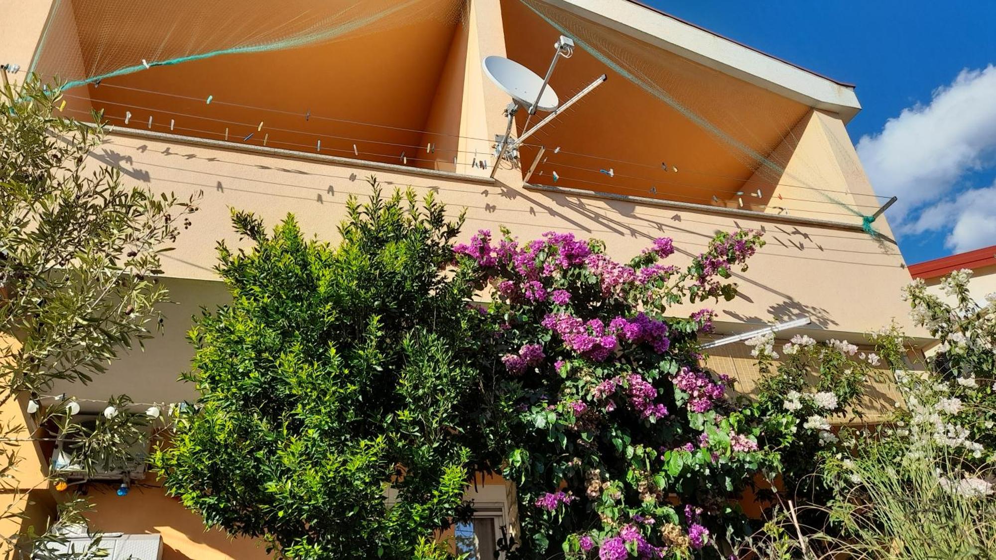 Apartmani Ivankovic Karlobag Camera foto